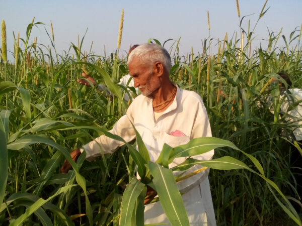 मोटे अनाज और जैविक खेती अपनाएं किसान- साभा कुंवर कुशवाहा