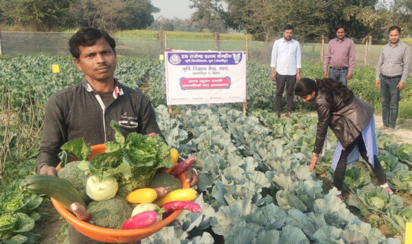 पोषण वाटिका में पूरे साल सब्जियां