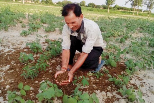 जैविक खेती से सुधरे जमीन की सेहत