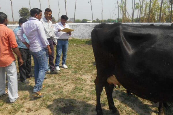 मोबाइल पशु चिकित्सा इकाइयों के माध्यम से घरों पर पशु चिकित्सा सेवा