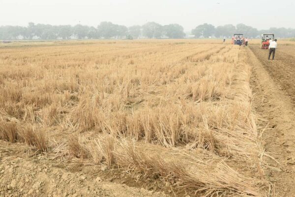 पूसा डीकंपोजर से बनाएं कंपोस्ट