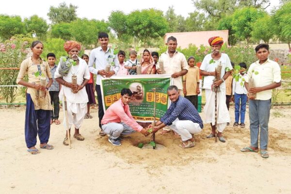 पौधों वाले माड़साब का मिशन हरियालो रेगिस्तान