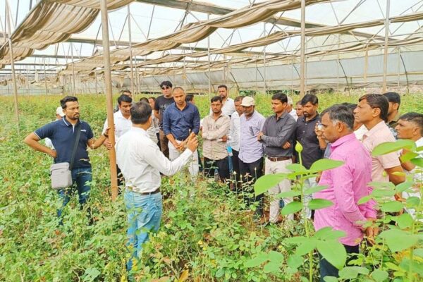 7 किसानों से शुरू हुई संरक्षित खेती, आज 105 किसान