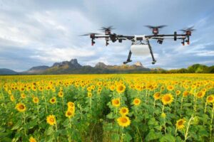 Drone in farming