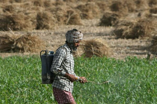 रसायनों का संतुलित प्रयोग कृषि में लाभकारी