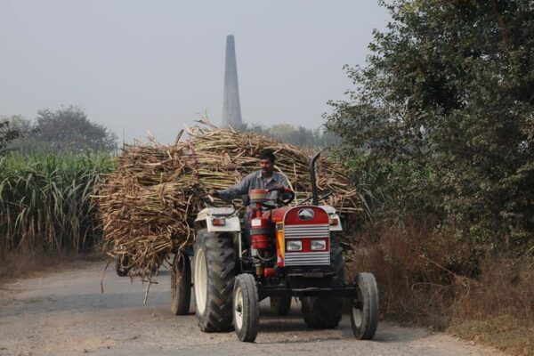 फसल बीमा क्लेम का होगा तुरंत भुगतान