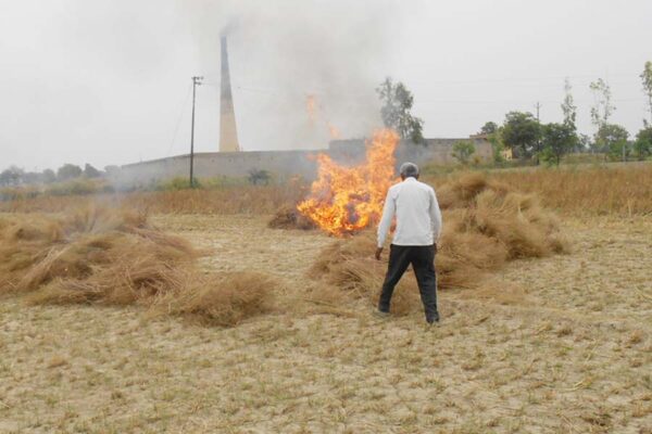 फसल अवशेषों में आग मत लगाइए जमीन की उर्वराशक्ति बढ़ाइए