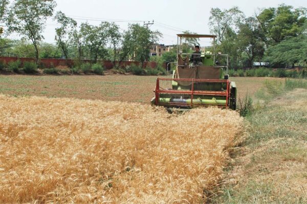 फसल कटाई (Harvesting Crops) के बाद क्या है खास