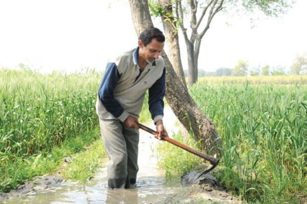 मार्च महीने के दौरान खेती के खास काम