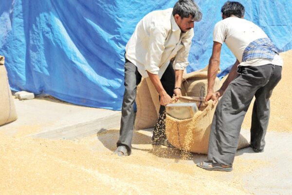 अनाज भंडारण (Grain Storage) की वैज्ञानिक तकनीक