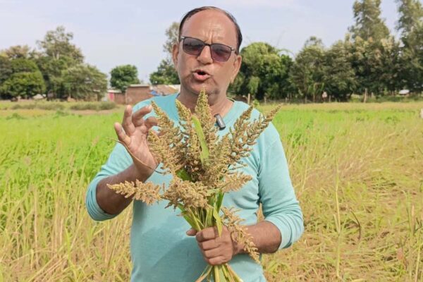 देश में बढ़ रही मोटे अनाज (Coarse Grains) की खेती