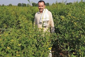 Natural Farming