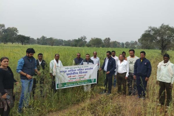 तिलहन फसलों को बढ़ावा,मनाया गया सरसों प्रक्षेत्र दिवस (Mustard Field Day)