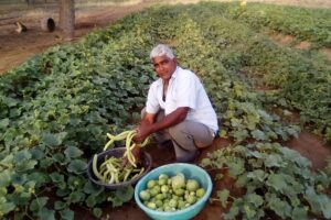 प्राकृतिक खेती (Natural Farming)