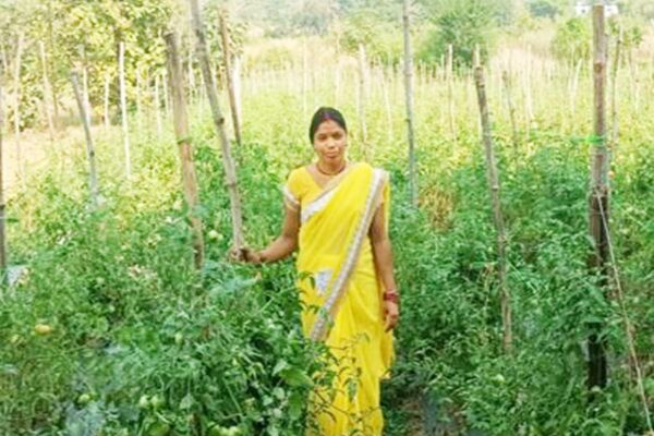 जैविक खेती (Organic Farming) से पार्वती बनीं सफल सब्जी उत्पादक