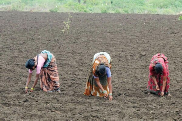 प्राकृतिक खेती (Natural Farming) वर्तमान समय की जरूरत