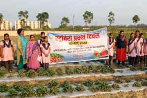 स्ट्राबेरी (Strawberry) को बढ़ावा देने के लिए प्रक्षेत्र दिवस (Field Day) का आयोजन