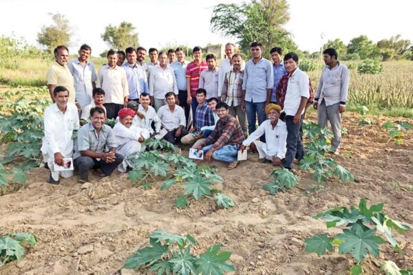 औषधीय खेती (Medicinal Farming)