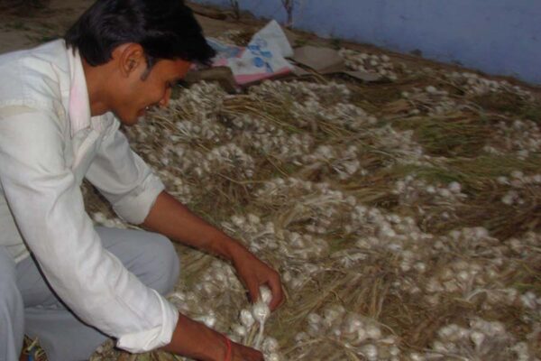 खेती के काम (Farming Work)