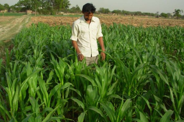 अप्रैल महीने के खेती के काम (Farming Work)