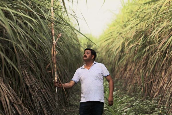 गन्ना किसान (Sugarcane Farmer)