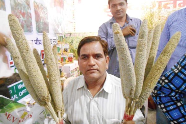 बाजरा (millet)