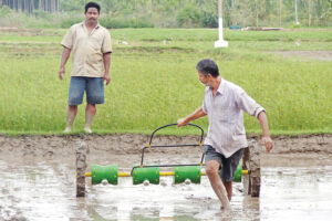 ड्रम सीडर (Drum Seeder)