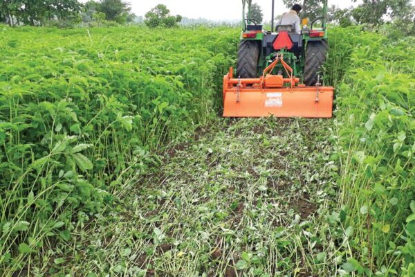 खेत में डालें हरी खाद (Green Manure)