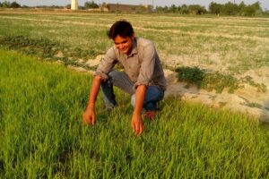 खेतीकिसानी के काम (Farming work)