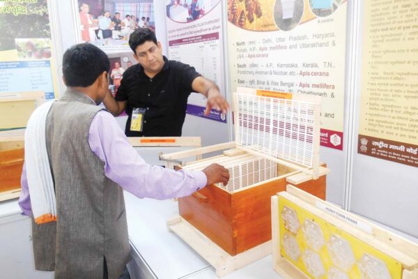 मधुमक्खीपालन (Beekeeping) में काम आने वाले उपकरण