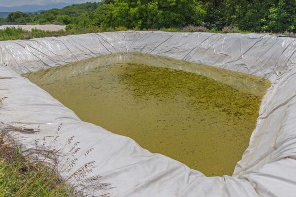 पौली पोंड (Poly Pond) से खुशहाल हो रही मारवाड़ की जिंदगी