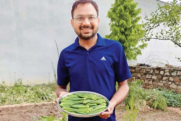 सालभर फलों व सब्जियों के लिए जैविक गृह वाटिका (Organic Home Garden)