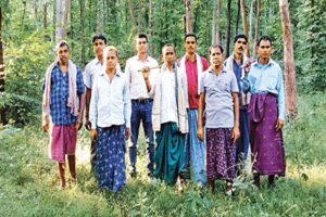 मुर्रा नस्ल की भैंसों (Murrah buffaloes)