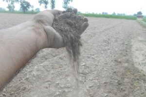 मिट्टी की जांच (Soil Testing)