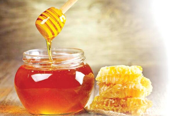 शहद व्यवसाय (Honey Business)