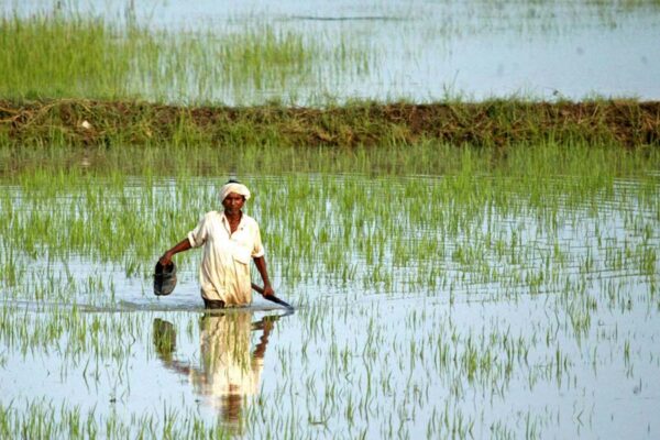 किसान कंगाल, खेती बदहाल, किस ने किया यह हाल?