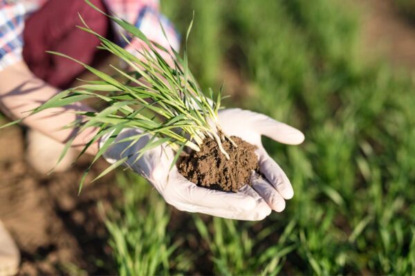 जैव उत्पादों (Biological Products) से फसलों में रोग नियंत्रण