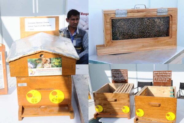 सस्ती दरों पर मिलेंगे मधुमक्खीपालन उपकरण (Bee equipment)