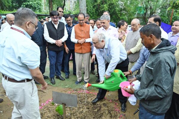 पौध रोपण के तहत एक एकड़ जमीन पर ‘मातृ वन’