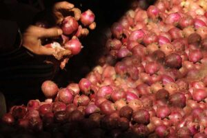 मिलेगी 35 रुपए में प्याज (Onion)