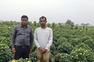 फूलों की खेती (Flower Farming) से महकी जितेंद्र की जिंदगी