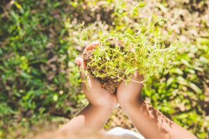 औषधीय खेती (Medicinal Farming)