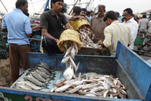 मत्स्यपालन (Fisheries) है भारतीय अर्थव्यवस्था का आधार