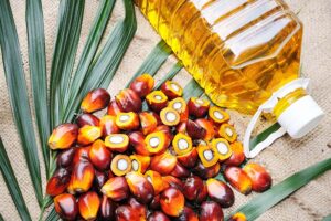 15 राज्यों में 17 लाख से अधिक औयल पाम पौधे (Oil Palm Saplings) रोपे गए