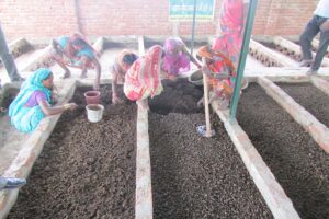 वर्मी कंपोस्ट इकाई (Vermi Compost Unit) के लिए 50 हजार अनुदान