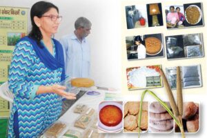 बाजरे की प्रोसेसिंग (Processing of Millets)