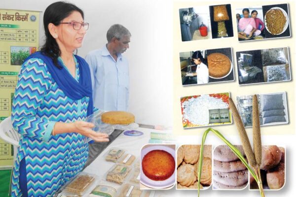 बाजरे की प्रोसेसिंग (Processing of Millets) – रोजगार का जरीया