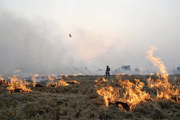 फसल अवशेष : जलाए नहीं खाद बना कर बढ़ाएं जमीन की उर्वराशक्ति