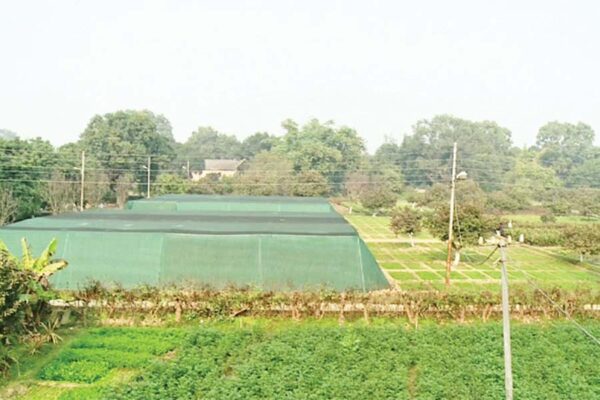 Horticultural Experiment and Training Center