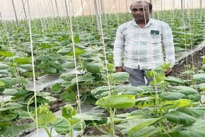 Farmer Nilesh Patidar